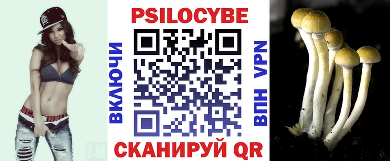 Галлюциногенные грибы Psilocybe  хочу   Себеж 